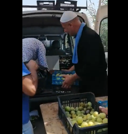 ردود فعل أنصار 